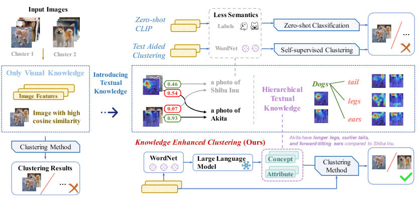 Hierarchical Textual Knowledge for Enhanced Image Clustering