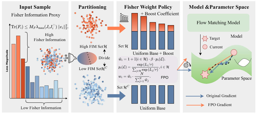 REPA-FPO: A Fisher Policy Optimization for Efficient Flow Matching Training